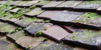 Sunnyside roof repair costs